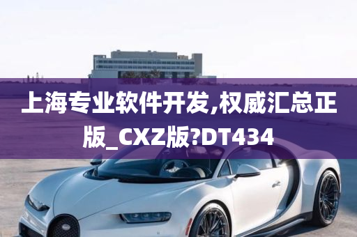 上海专业软件开发,权威汇总正版_CXZ版?DT434