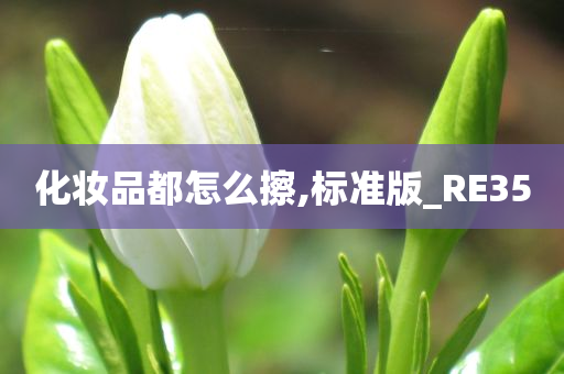 化妆品都怎么擦,标准版_RE35