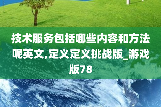 技术服务包括哪些内容和方法呢英文,定义定义挑战版_游戏版78