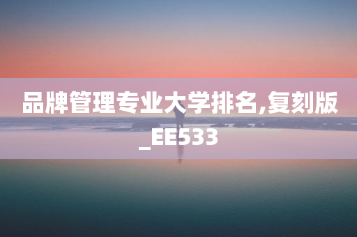 品牌管理专业大学排名,复刻版_EE533