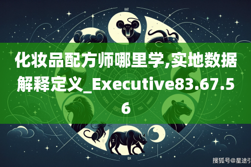 化妆品配方师哪里学,实地数据解释定义_Executive83.67.56