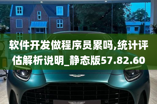 软件开发做程序员累吗,统计评估解析说明_静态版57.82.60