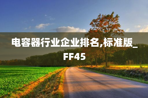 电容器行业企业排名,标准版_FF45