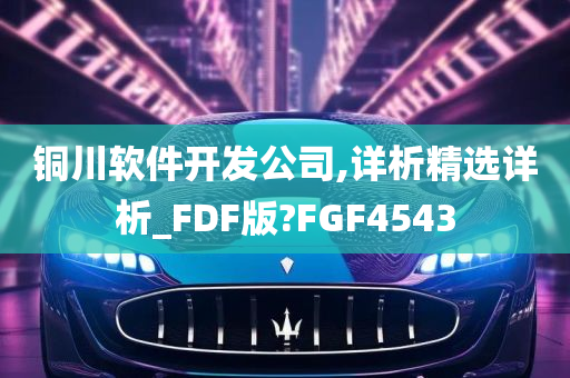 铜川软件开发公司,详析精选详析_FDF版?FGF4543