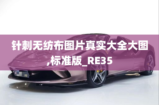 针刺无纺布图片真实大全大图,标准版_RE35