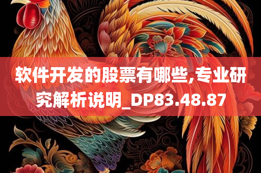 软件开发的股票有哪些,专业研究解析说明_DP83.48.87