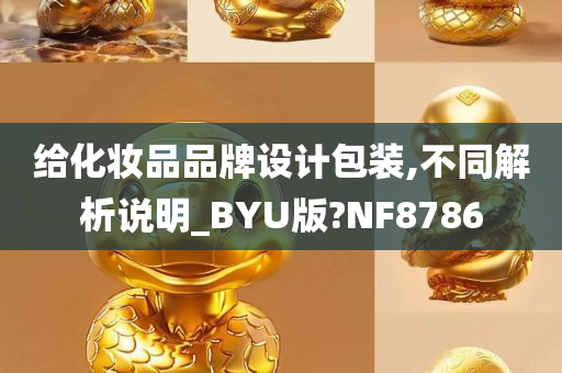 给化妆品品牌设计包装,不同解析说明_BYU版?NF8786