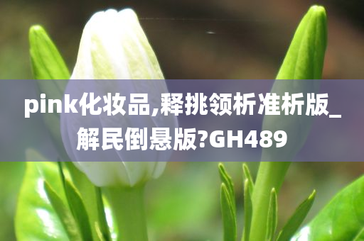 pink化妆品,释挑领析准析版_解民倒悬版?GH489