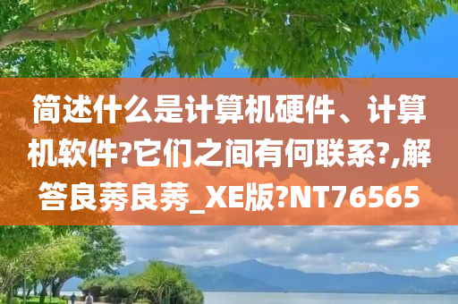 简述什么是计算机硬件、计算机软件?它们之间有何联系?,解答良莠良莠_XE版?NT76565