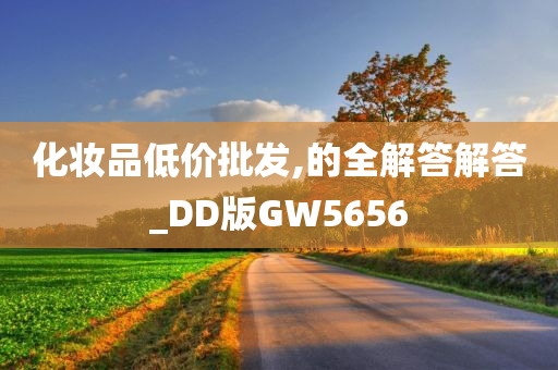 化妆品低价批发,的全解答解答_DD版GW5656