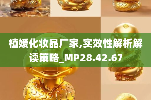 植媛化妆品厂家,实效性解析解读策略_MP28.42.67