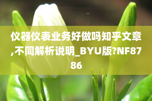 仪器仪表业务好做吗知乎文章,不同解析说明_BYU版?NF8786