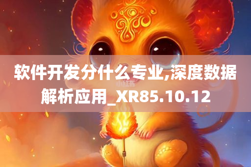 软件开发分什么专业,深度数据解析应用_XR85.10.12