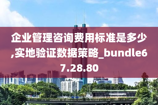 企业管理咨询费用标准是多少,实地验证数据策略_bundle67.28.80