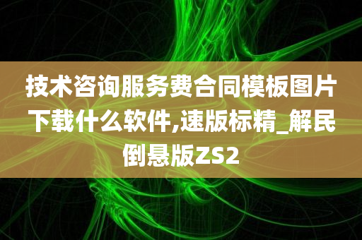 技术咨询服务费合同模板图片下载什么软件,速版标精_解民倒悬版ZS2