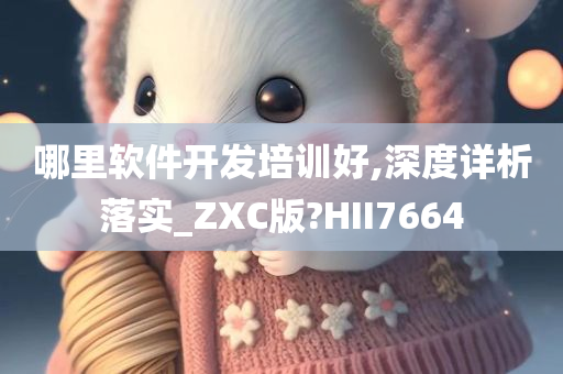 哪里软件开发培训好,深度详析落实_ZXC版?HII7664