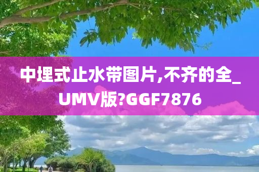 中埋式止水带图片,不齐的全_UMV版?GGF7876