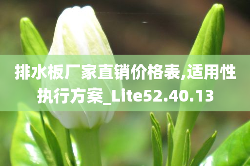 排水板厂家直销价格表,适用性执行方案_Lite52.40.13