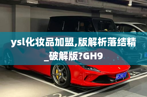 ysl化妆品加盟,版解析落结精_破解版?GH9