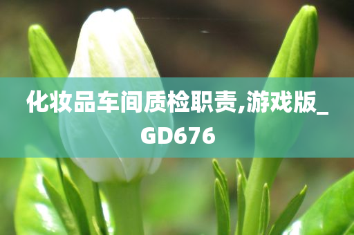 化妆品车间质检职责,游戏版_GD676