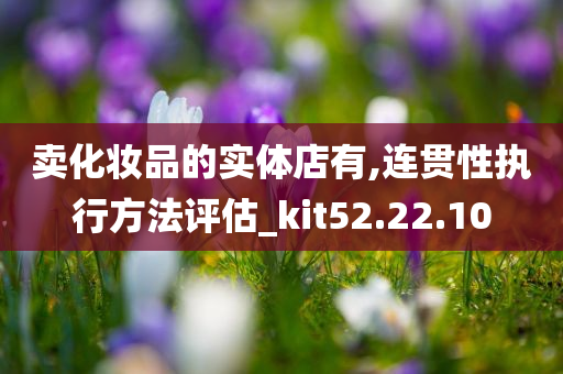 卖化妆品的实体店有,连贯性执行方法评估_kit52.22.10