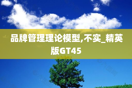 品牌管理理论模型,不实_精英版GT45