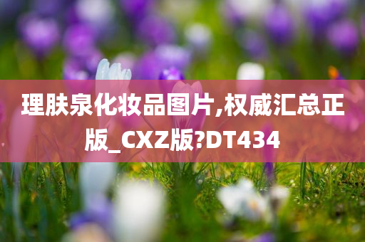 理肤泉化妆品图片,权威汇总正版_CXZ版?DT434