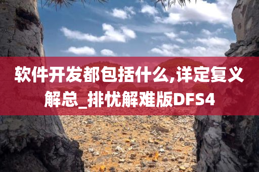 软件开发都包括什么,详定复义解总_排忧解难版DFS4