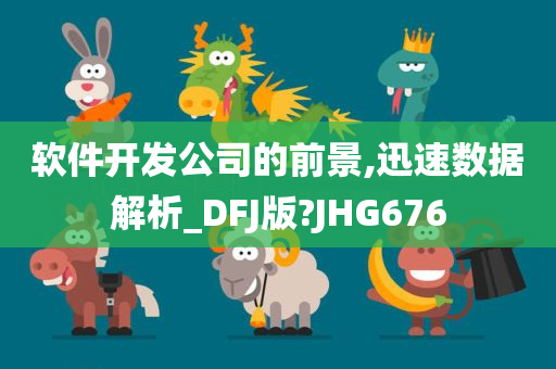 软件开发公司的前景,迅速数据解析_DFJ版?JHG676