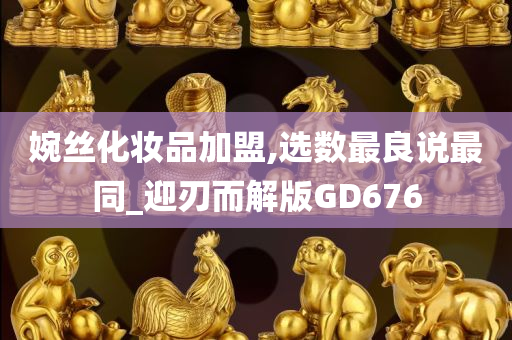 婉丝化妆品加盟,选数最良说最同_迎刃而解版GD676