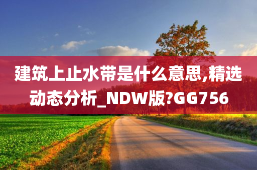 建筑上止水带是什么意思,精选动态分析_NDW版?GG756