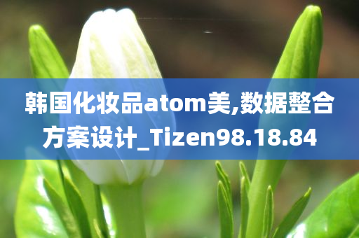 韩国化妆品atom美,数据整合方案设计_Tizen98.18.84