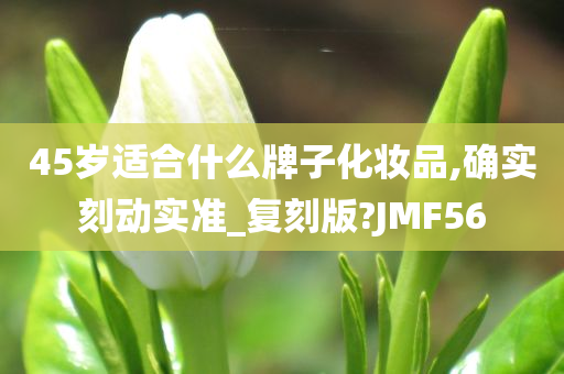 45岁适合什么牌子化妆品,确实刻动实准_复刻版?JMF56