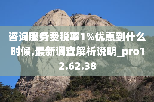 咨询服务费税率1%优惠到什么时候,最新调查解析说明_pro12.62.38