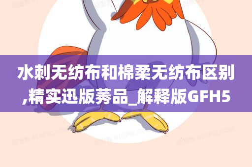 水刺无纺布和棉柔无纺布区别,精实迅版莠品_解释版GFH5