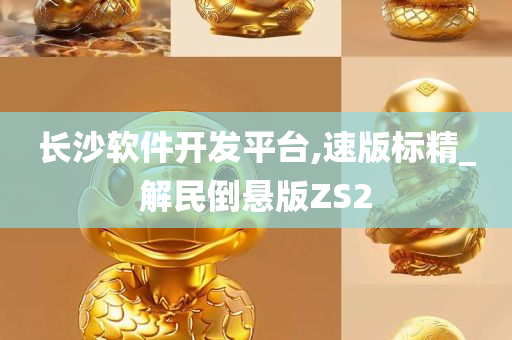 长沙软件开发平台,速版标精_解民倒悬版ZS2