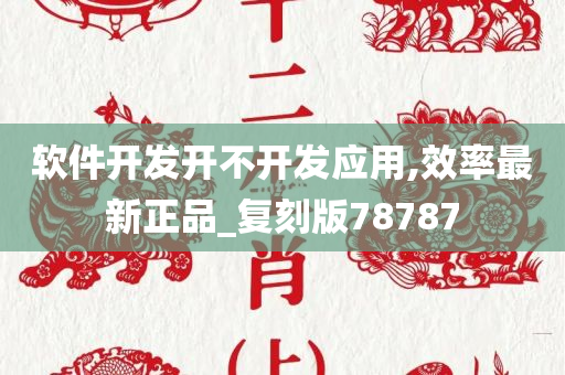 软件开发开不开发应用,效率最新正品_复刻版78787