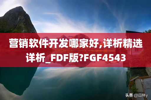 营销软件开发哪家好,详析精选详析_FDF版?FGF4543