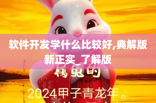 软件开发学什么比较好,典解版新正实_了解版