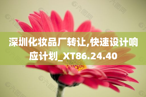 深圳化妆品厂转让,快速设计响应计划_XT86.24.40