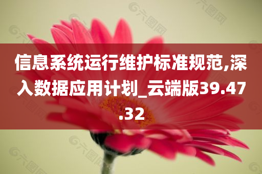 信息系统运行维护标准规范,深入数据应用计划_云端版39.47.32