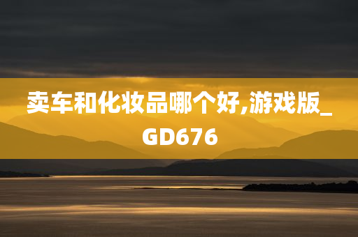 卖车和化妆品哪个好,游戏版_GD676