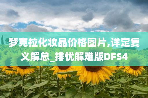 梦克拉化妆品价格图片,详定复义解总_排忧解难版DFS4