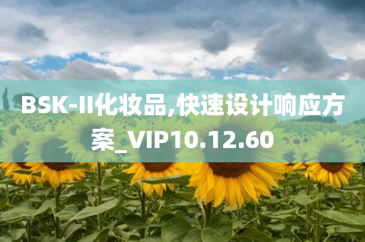 BSK-II化妆品,快速设计响应方案_VIP10.12.60