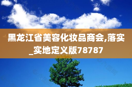 黑龙江省美容化妆品商会,落实_实地定义版78787