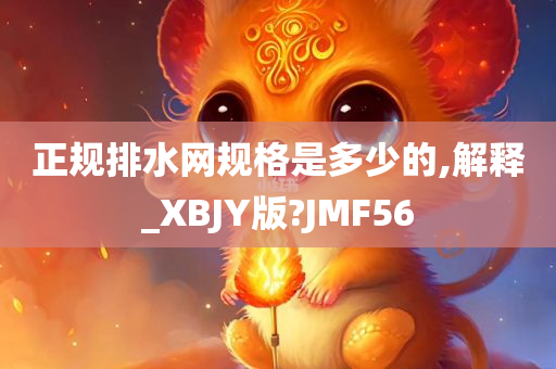 正规排水网规格是多少的,解释_XBJY版?JMF56