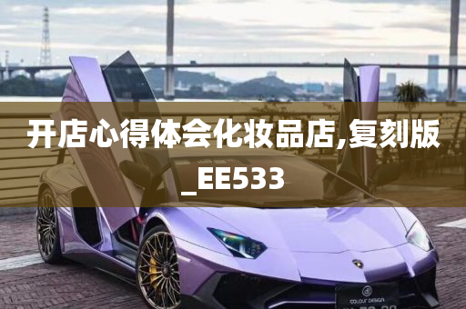 开店心得体会化妆品店,复刻版_EE533