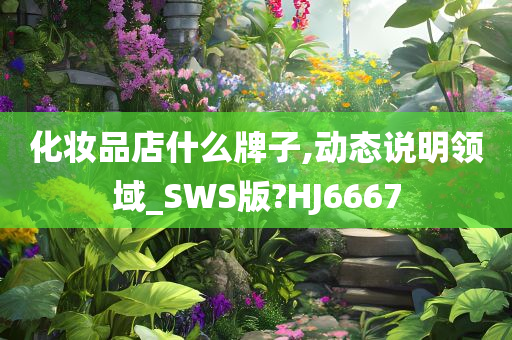 化妆品店什么牌子,动态说明领域_SWS版?HJ6667