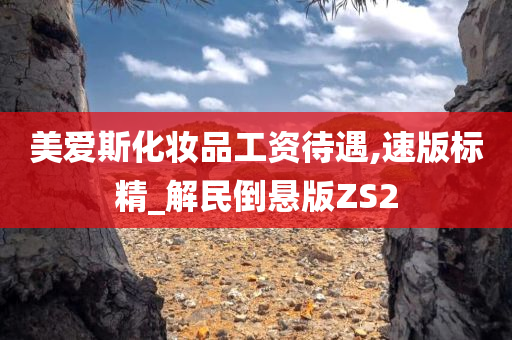 美爱斯化妆品工资待遇,速版标精_解民倒悬版ZS2