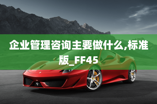 企业管理咨询主要做什么,标准版_FF45